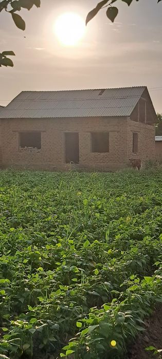 15 сотих ховли уй