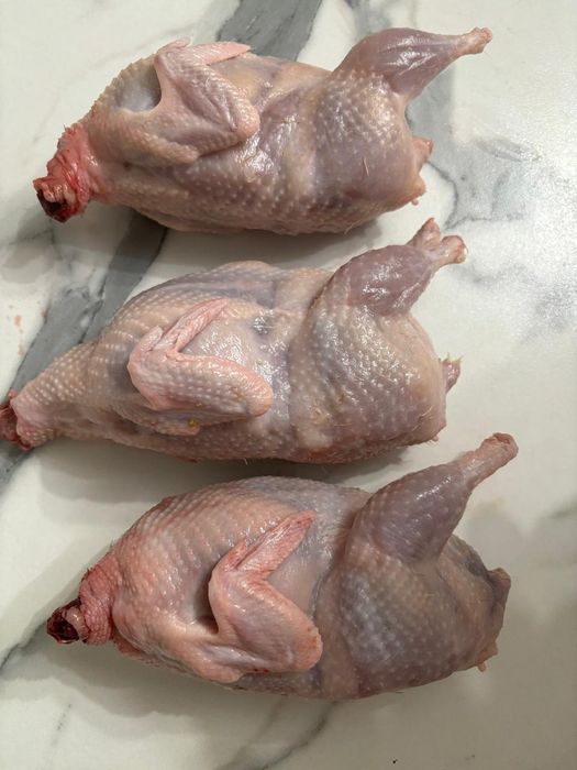 Перепелиное мясо,яйцо