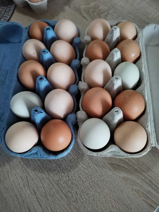 Vând oua de gaini cresute la curte! 2 RON bucata.