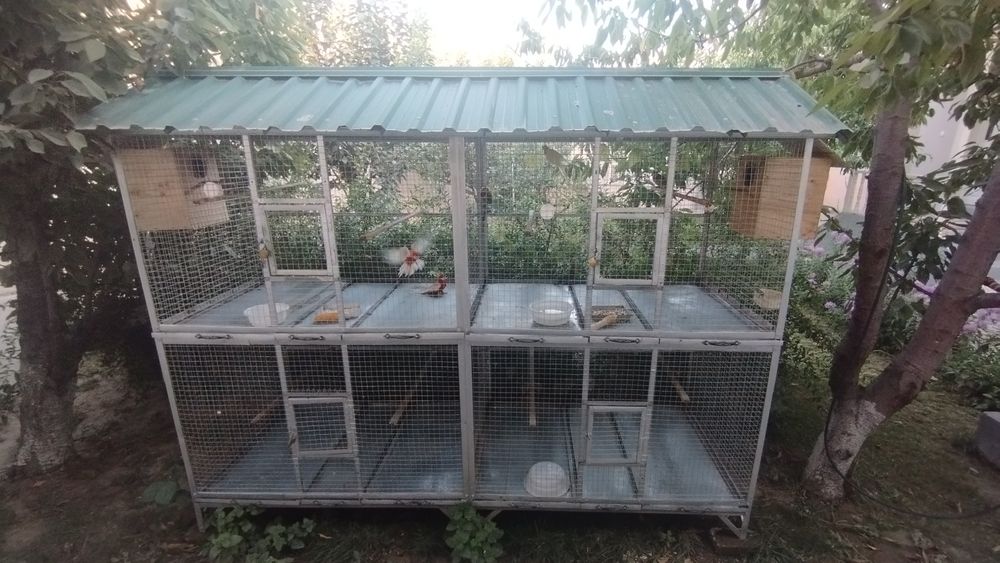 Qafas sotiladi продается валер