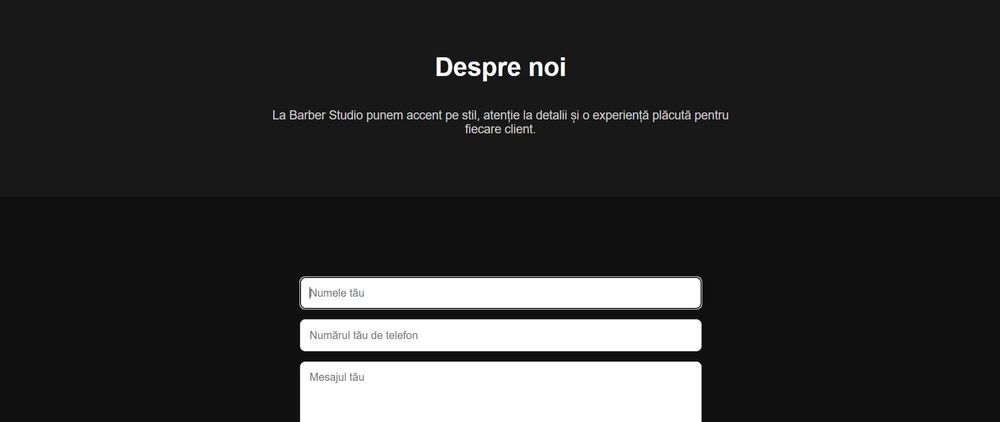 SITE-URI PROFESIONALE (pozele sunt doar exemple)