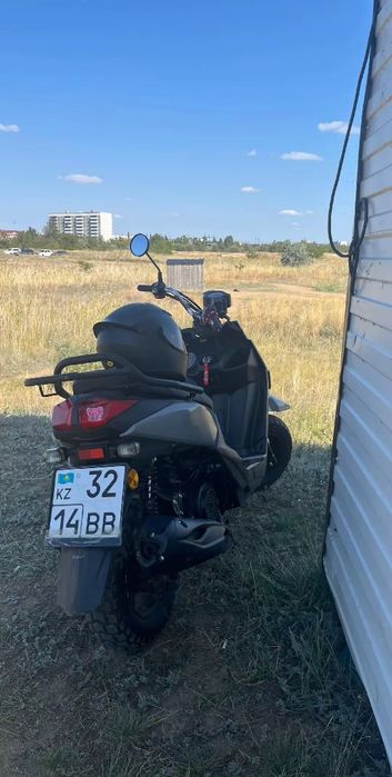 Момед самурай 1 поколение