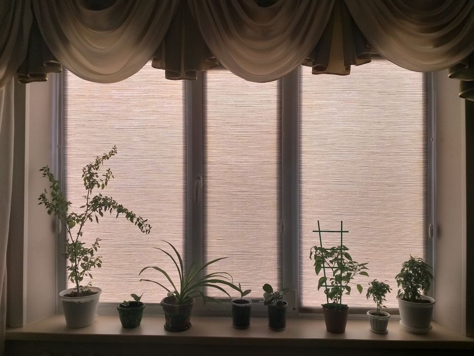 Ролл шторы. Ролл шторы