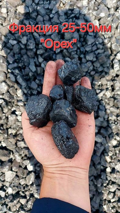 Шубаркуль. Семечка