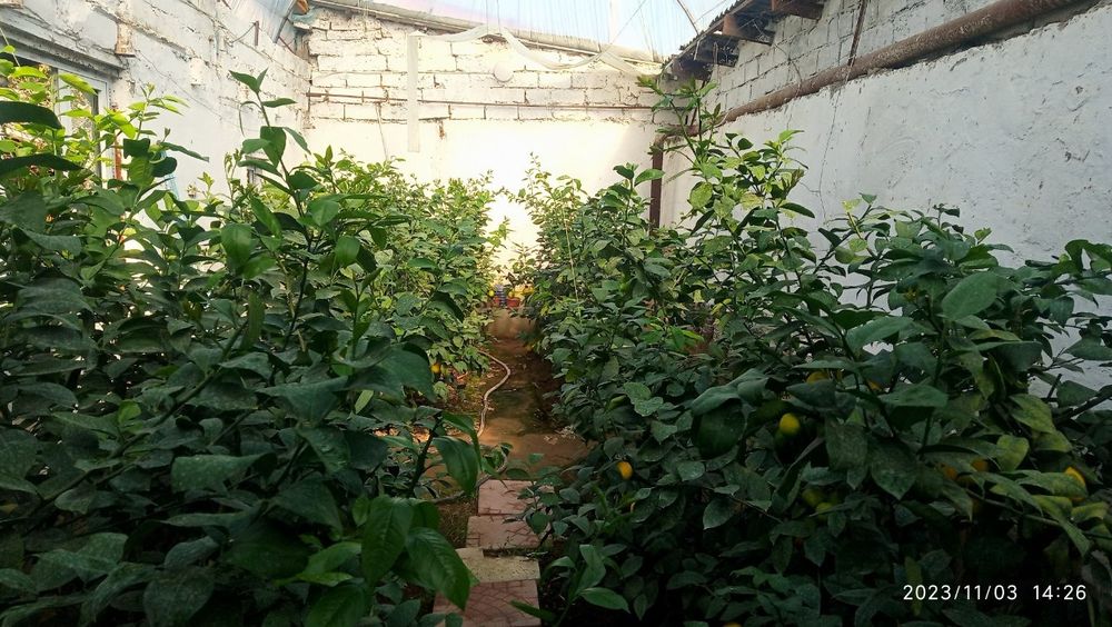 Продается дом без посредников