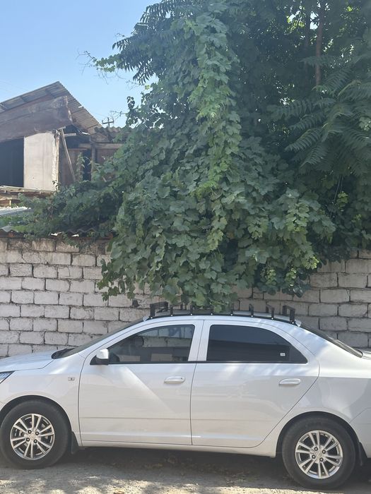 Avto bagach xarxil turdagi avtomobilarga