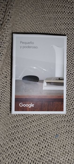 Google Nest Mini