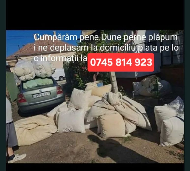 Achizitie perne dune