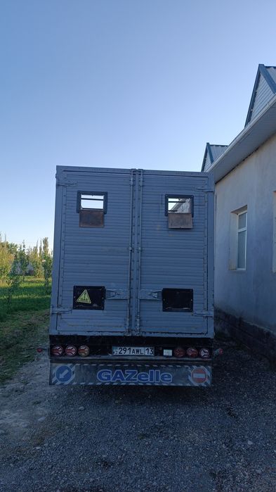 2007 жылгы зор газел