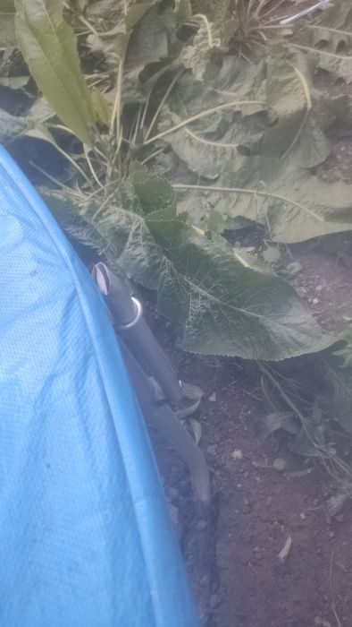 Батут голям / трамплин