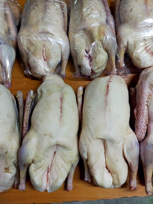 Гуси в заморозке