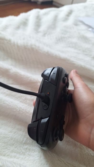 Nintendo  swich.