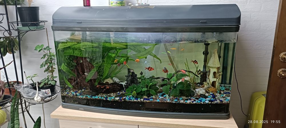 Продам аквариум 200 литров