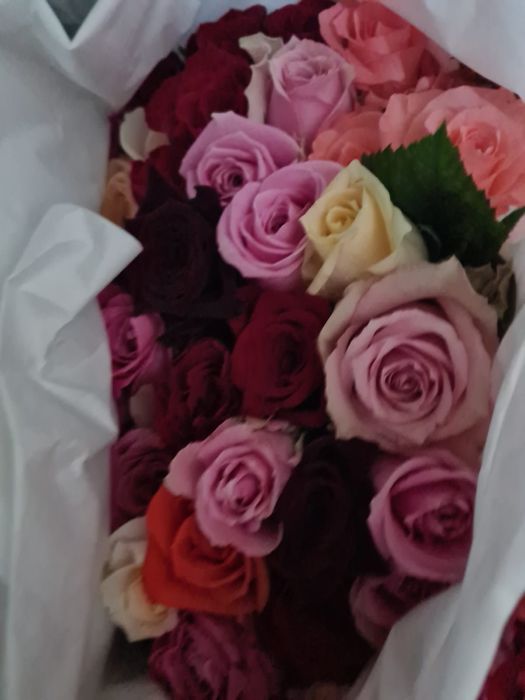 Розы ОПТОМ в пачках