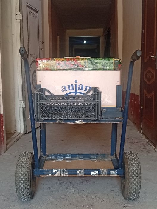 Marojna arava halati zoʻr