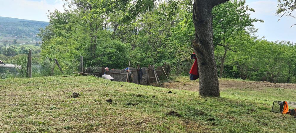 Urgent Teren și Casă Bătrânească