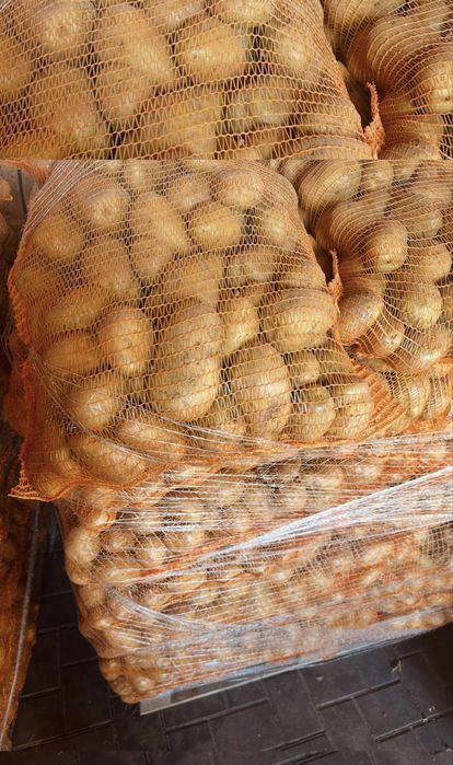Cartof alb de consum cantitati engros