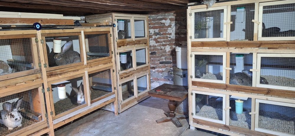 Белгийски великани