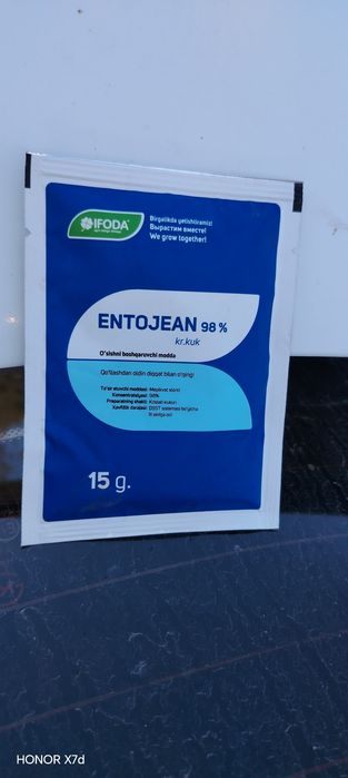 Sotiladi entojean