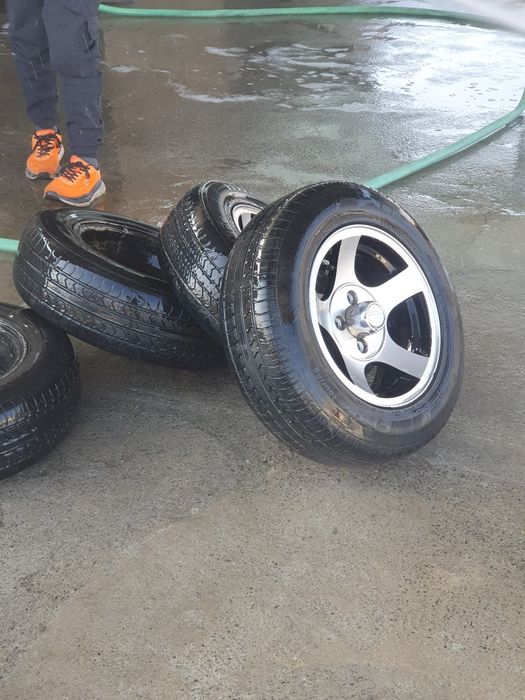 Черепаха diska R13