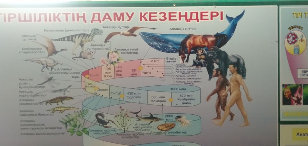 Продам стенды в отличном состоянии