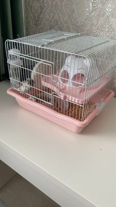 Продам хомячков