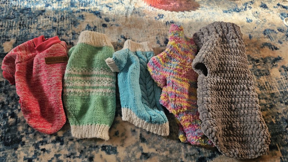 Одежда для собак