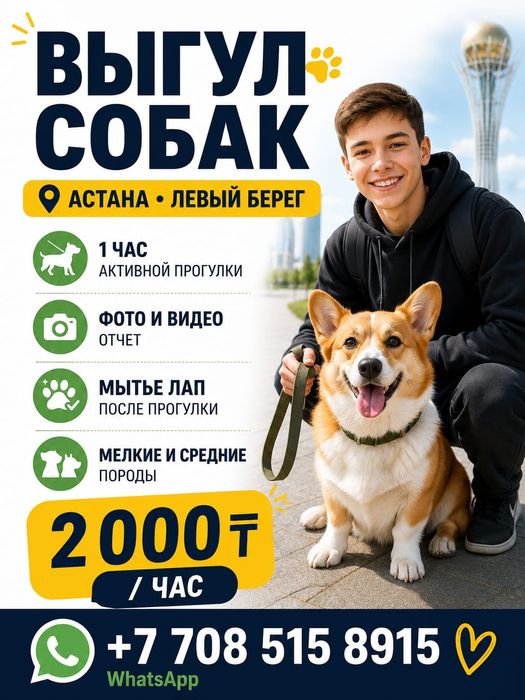 Выгул собак, домашних животных