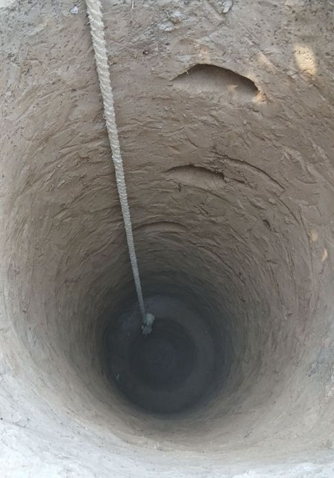 Urachi ‘orachi урачи toshkent buylab