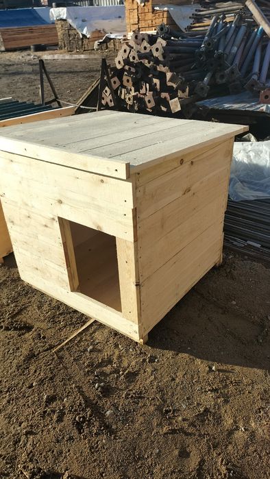 Бутики для собачий