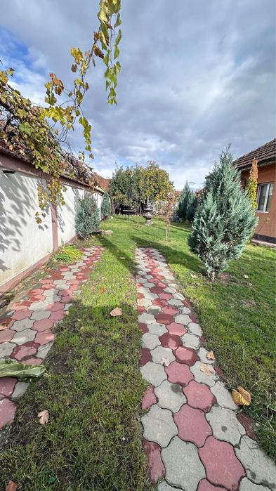 Ofer casa spre inchiriere