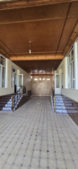 Дурмень цен.7сот.9хона