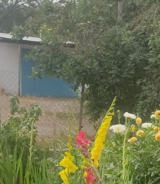 Продам квартиру вместе с гаражем