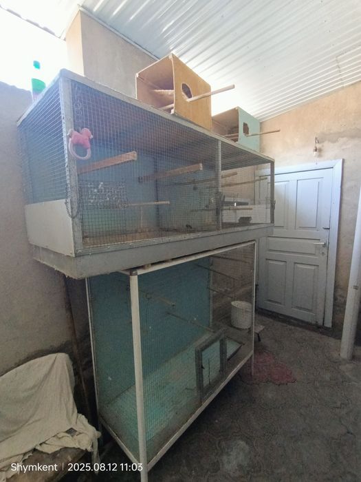 клетки ( мини вальеры) для попугаев и тд.