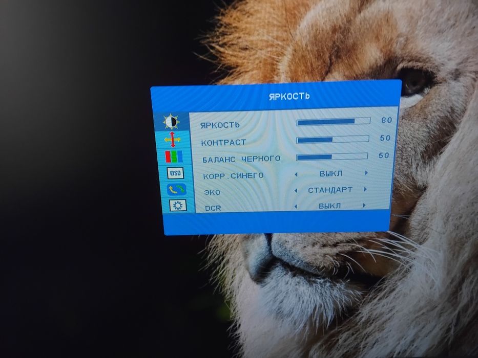 Монитор Sanc 23.8