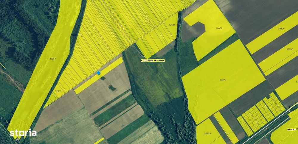 Teren extravilan Cotofanii din Fata 12,500 mp, Dolj - 3001407