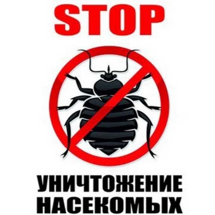 Уничтожение блох, клопов, тараканов.