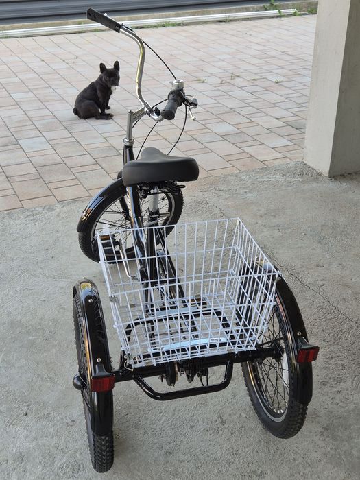 Triciclu adulti roti 20