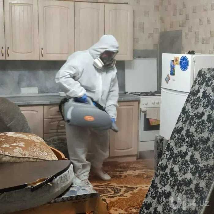 250 000 сум дезинфекция микробы бактерии вирусы насекомые