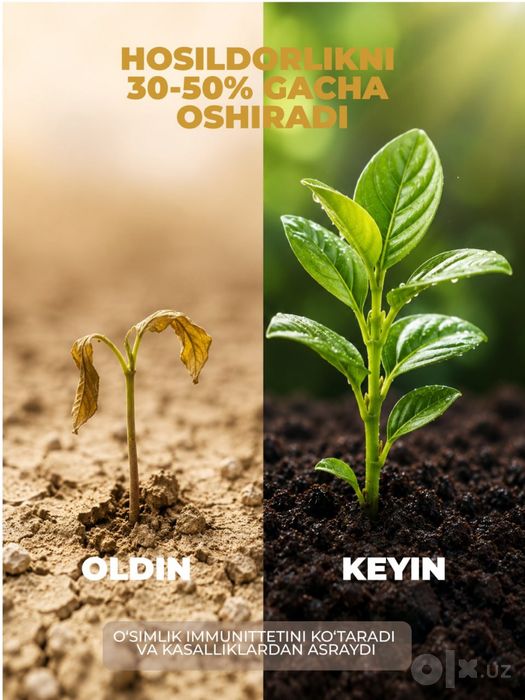 Grafik dizayn, infografika xizmati