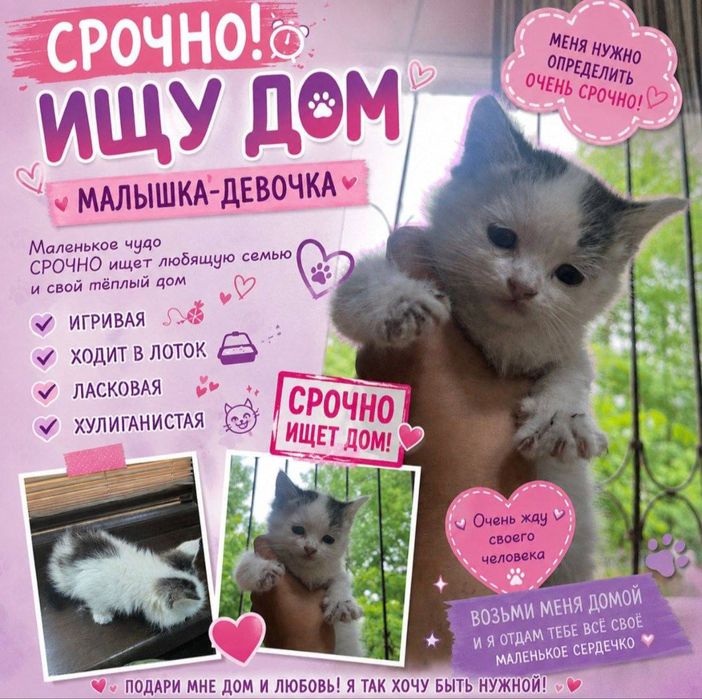 Малышка ищет мам и пап!