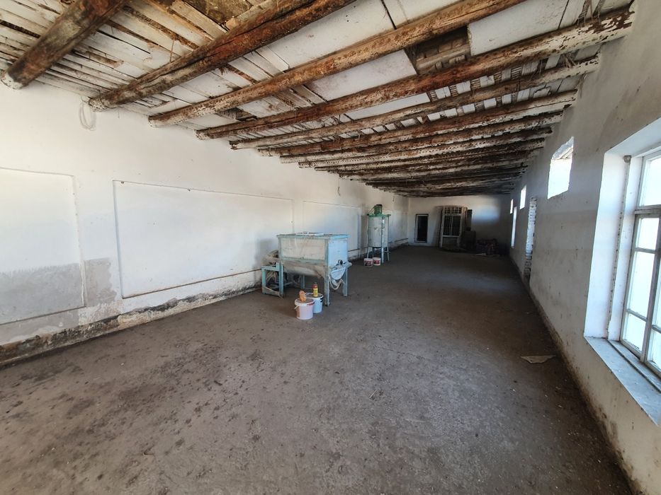 Тайор бизнес ишлап чикариш