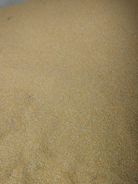 Vand porumb si grau.