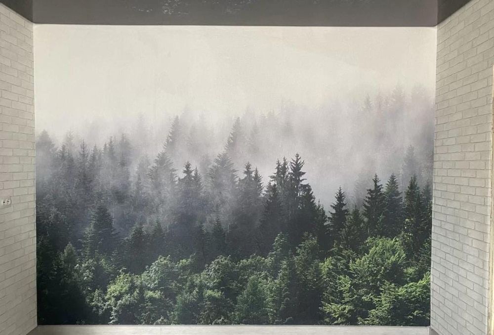 Обои,покраска,левкас