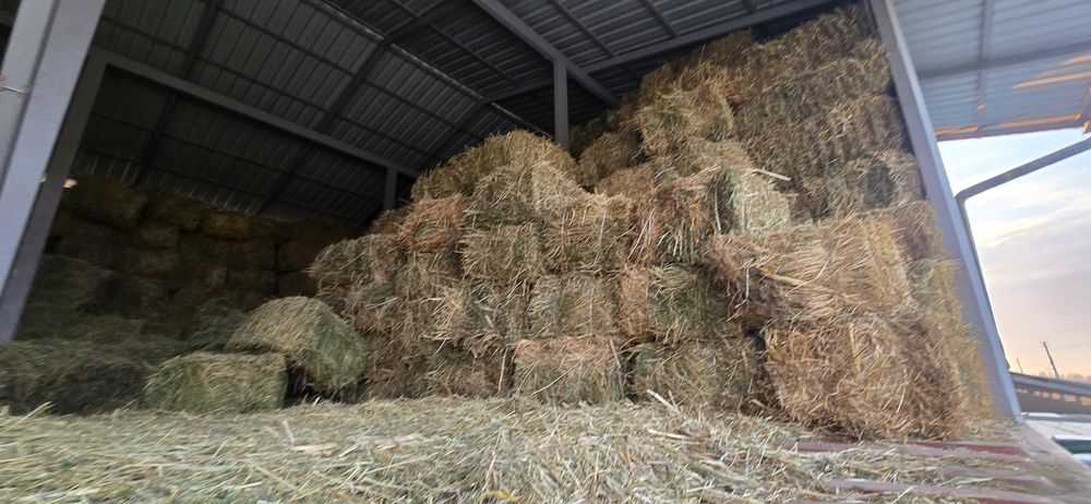 Beda press sotiladi.