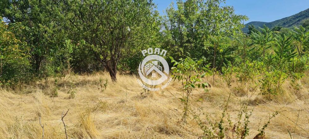 Продава се Парцел в Асеновград - 2000 кв.м за 19 €/кв.м - Снимка #2