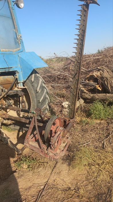 Каселка сигментная