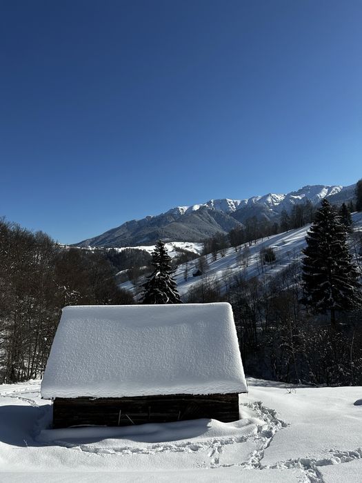 Teren Simon Bran 2.9ha, vedere panoramica, acte la zi
