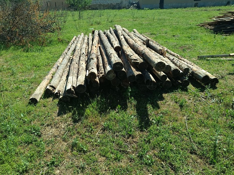 Кругляк буу метр 4.5
