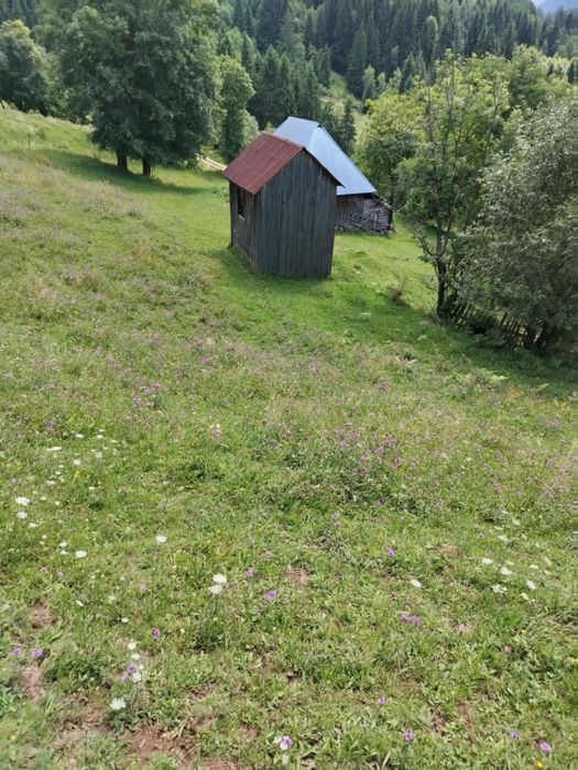 Vand teren intravilan in Borsa Maramures, construibil